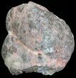 Bargain, Dugway Geode (Polished Half) #67482-1
